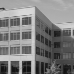 Archipelago Management